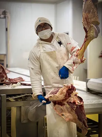 Galeria CiamBeef