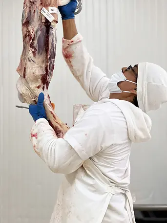 Galeria CiamBeef