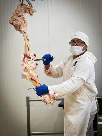 Galeria CiamBeef