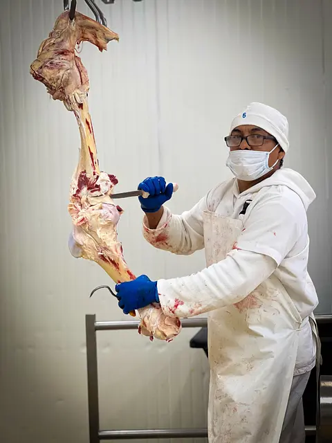 Galeria CiamBeef