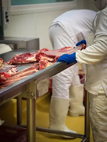 Galeria CiamBeef